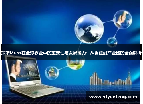 探索Musa在全球农业中的重要性与发展潜力：从香蕉到产业链的全面解析